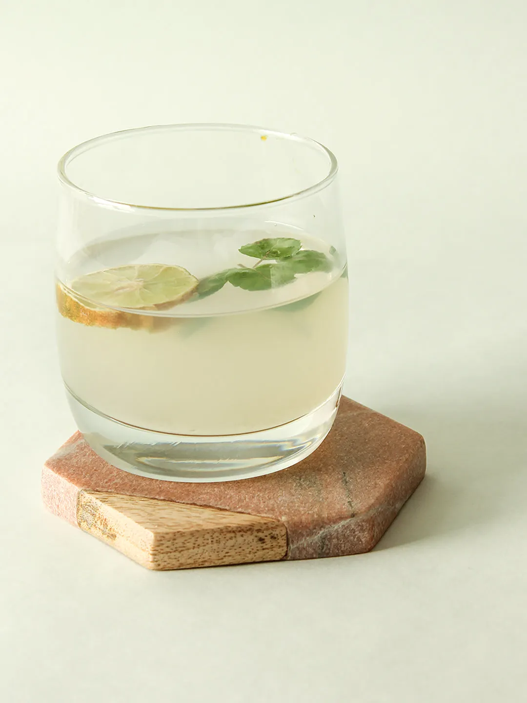 Jacana Coaster