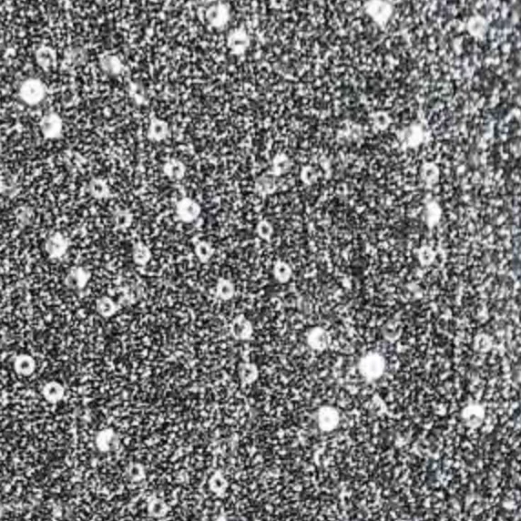 Sequin High Waisted Pants-FINAL SALE