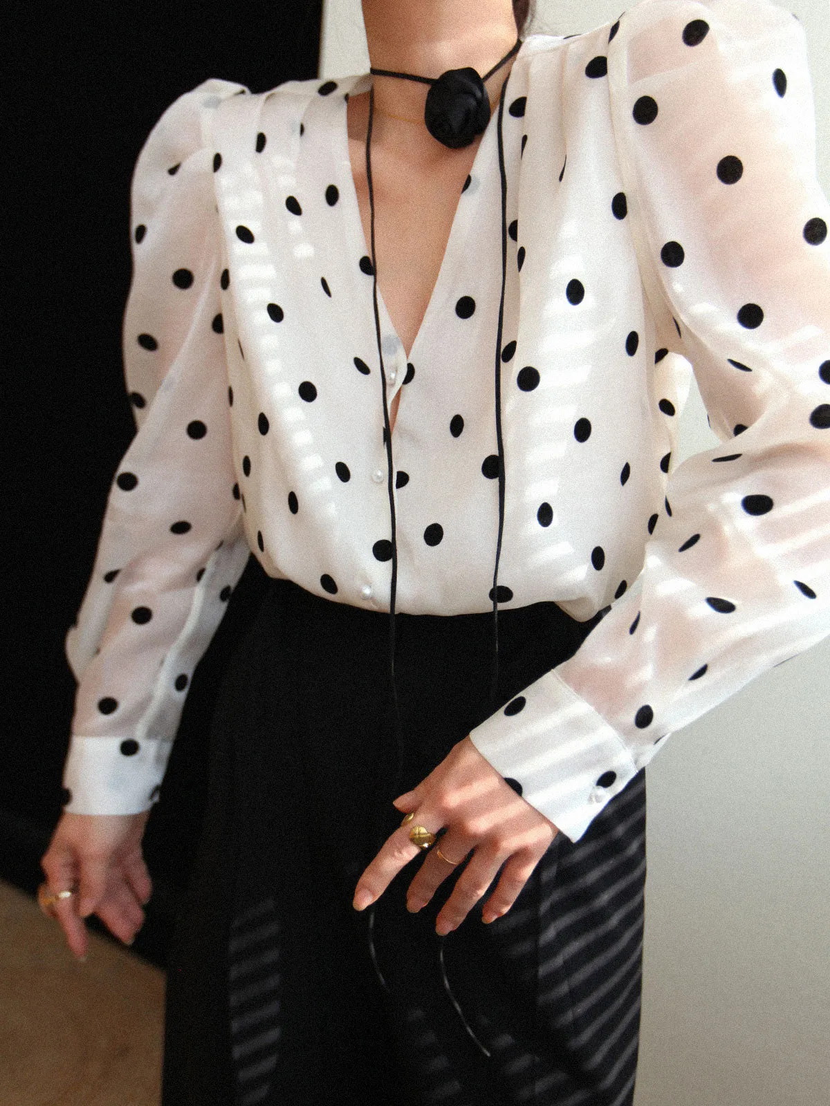 Sheer Polka Graceful Dot Blouse