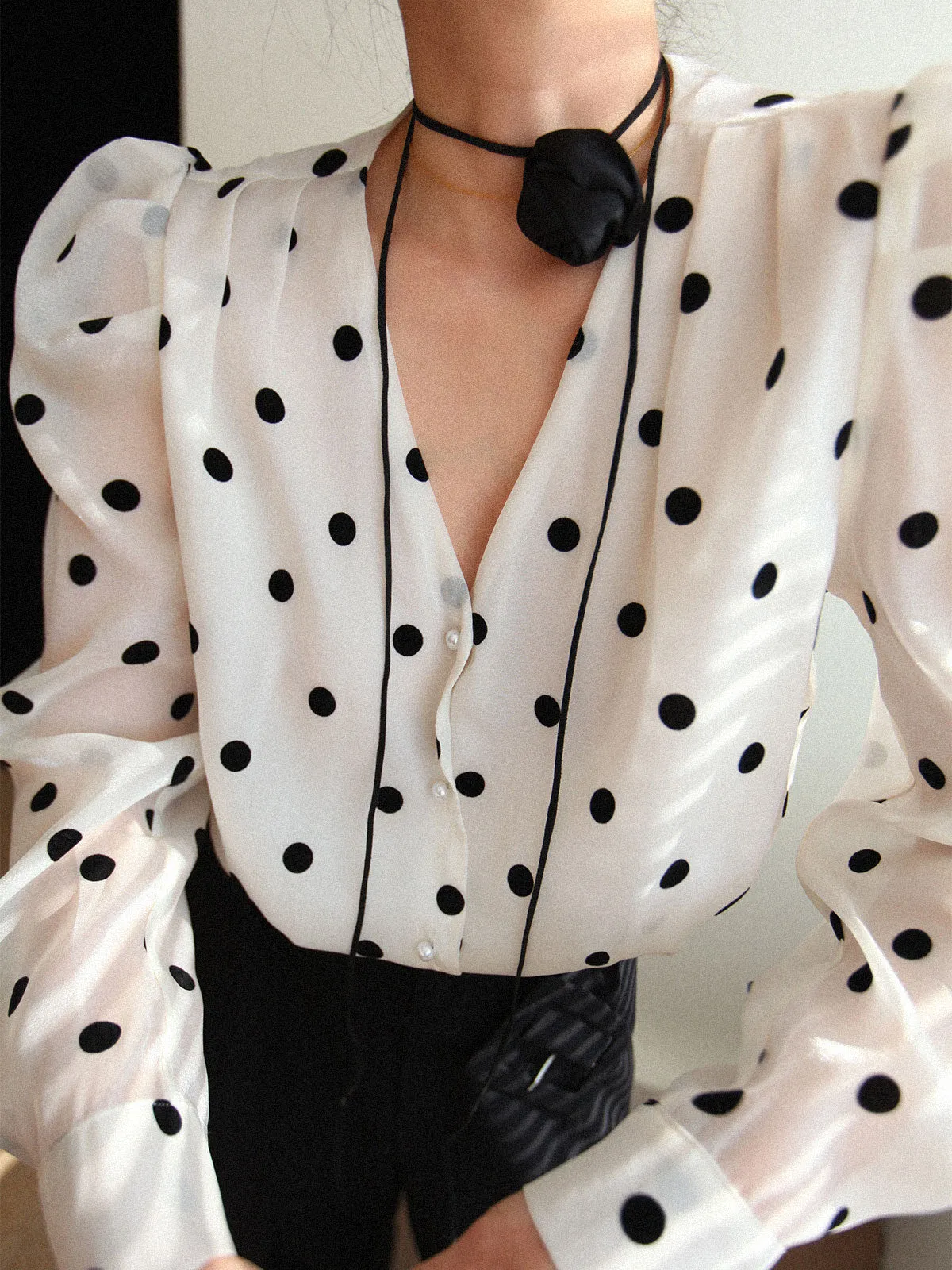 Sheer Polka Graceful Dot Blouse
